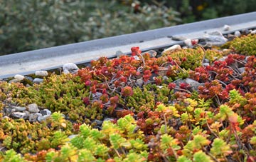 the cost of Cundy Cross green roof installation