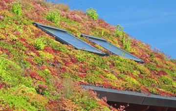 Cundy Cross living roof systems