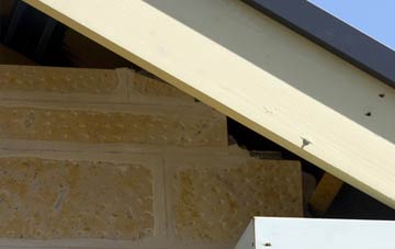 soffit repair Cundy Cross